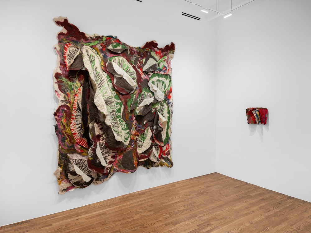 Installation view of Palo Gallery presents Sagarika Sundaram: Source