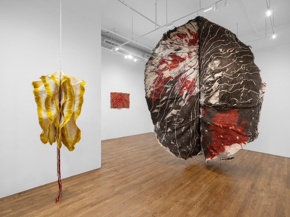 Installation view of Palo Gallery presents Sagarika Sundaram: Source